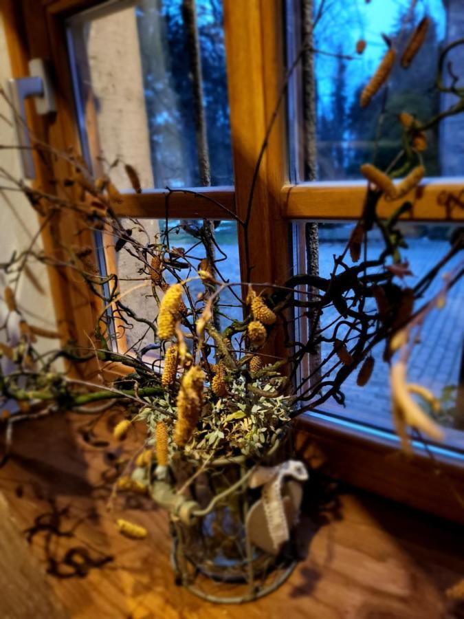 Ferienhaus Drakenhof 바트잘츠우프렌 외부 사진